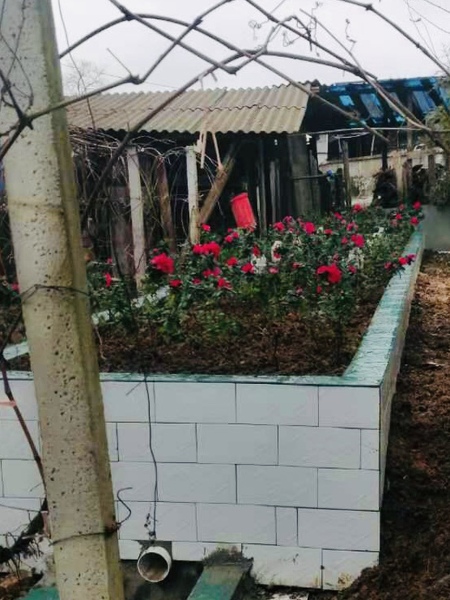 凯里市炉山镇示范点1