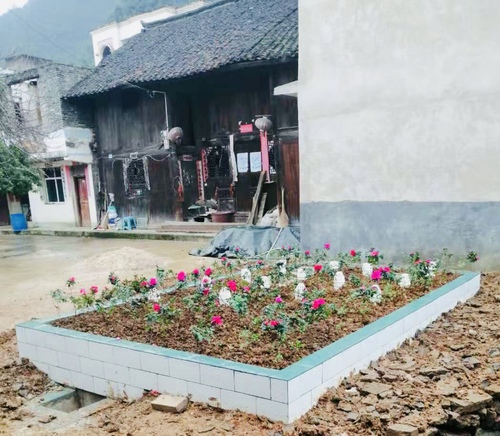 凯里市炉山镇示范点2