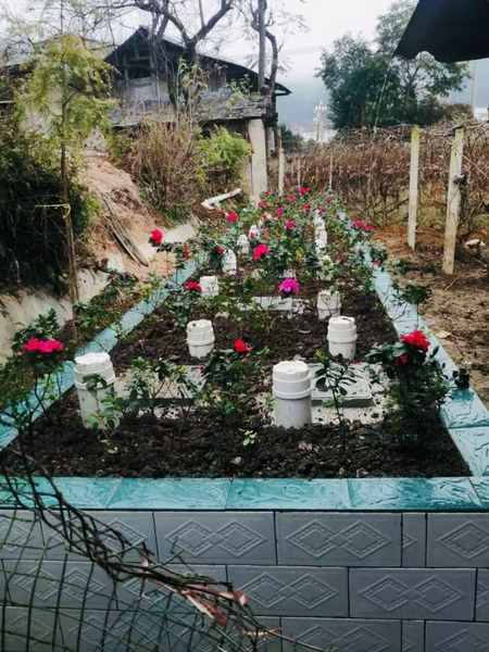 凯里市炉山镇示范点3
