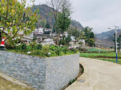 毕节市大方县黄泥塘镇